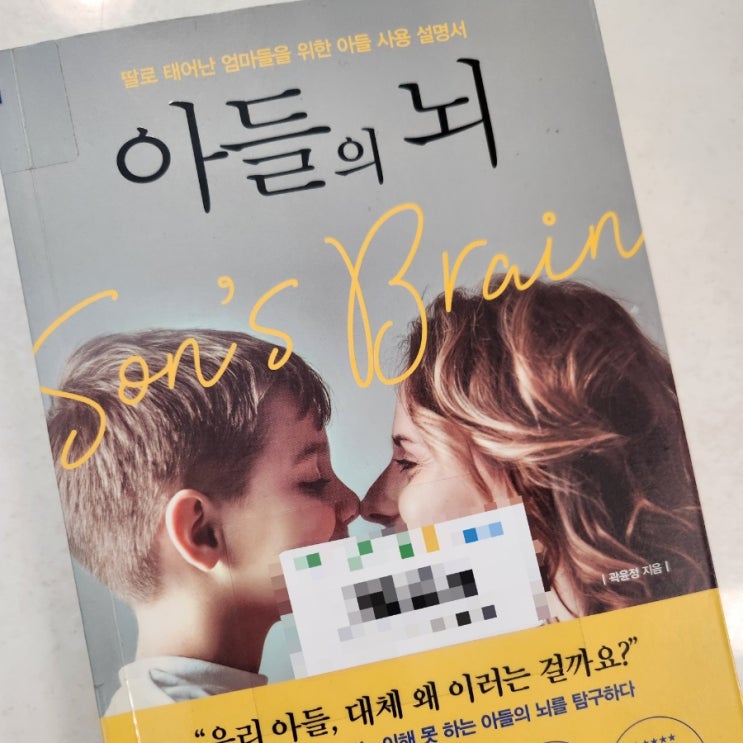 아들의 뇌, 우리 아들 대체 왜 이러는 걸까요? 아들엄마 필독서!