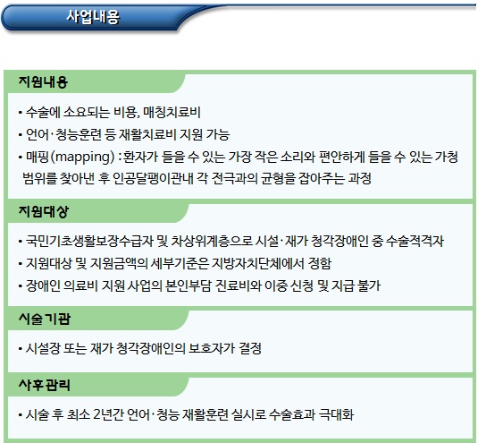 청각장애인 인공달팽이관 수술 지원 청각장애인 인공달팽이관 수술 지원