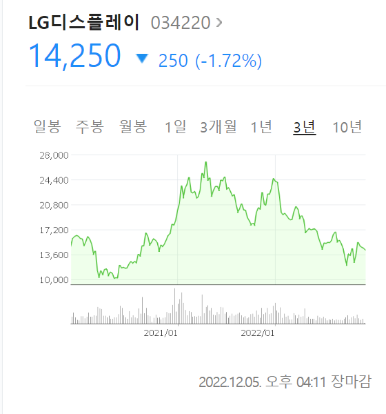  경제/투자공부-기업분석[LG 디스플레이]