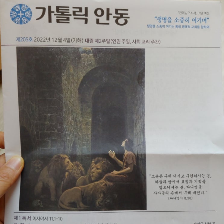  성당 주보 기억에 남는글 기록해두기 (ft. 사회적 약자를 돌아봐야겠습니다)
