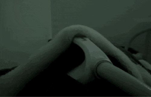  미사강변 다이어트 미사역 다이어트 14일동안 칼로리바 하남점 3회차 후기