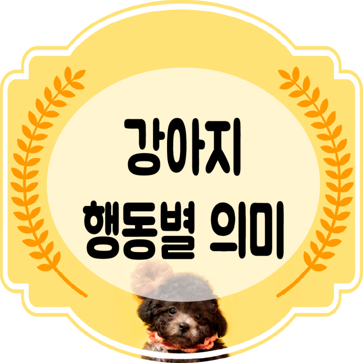  재밋는 강아지 행동 의미 !! 카밍시그널을 알아보자!!