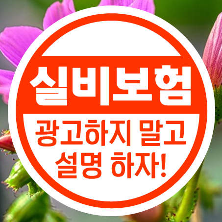  실비보험추천 시 광고 말고 설명을 해줘야 할 것 아냐!