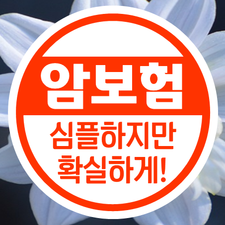 60대 암보험 심플하지만 이것만큼은 확실하다!