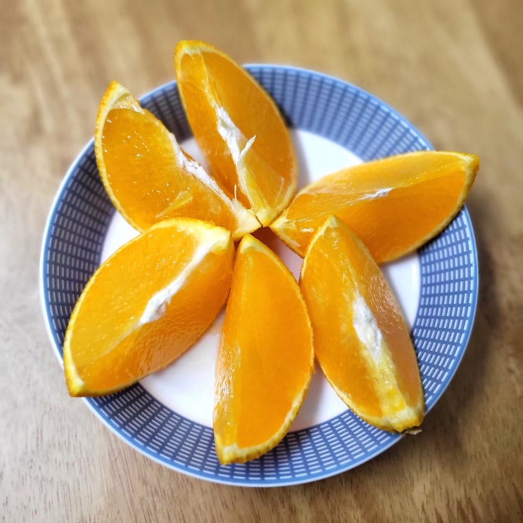  황금향 왔다:)내돈내산 서귀포 황금향