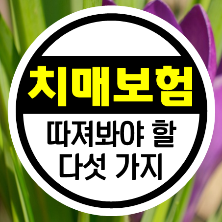  치매보험비교 시 따져봐야 할 다섯 가지