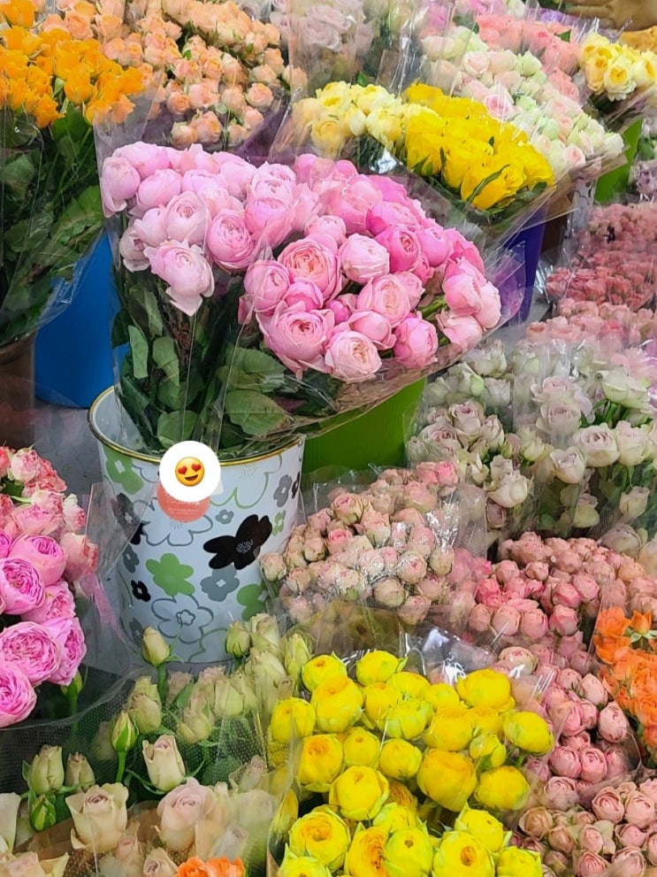  서울 꽃시장 강남고속버스터미널 다녀왔어요! 영업시간 가격 위치