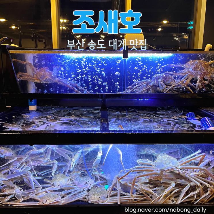  부산 킹크랩 대게 맛있는 조새호 송도직영점, 송도암남공원
