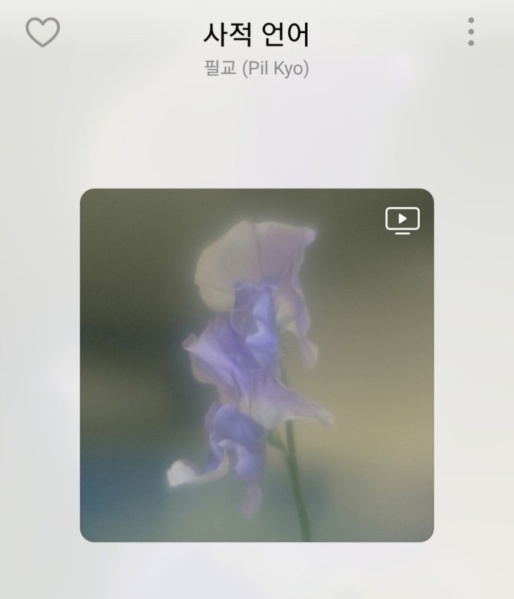  50회 이상씩 들었던, 내취향 플레이리스트 (1) 잔잔, 몽환 뭐 그런거