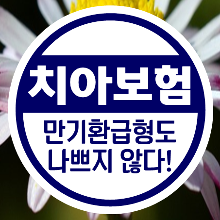  환급형치아보험 기다려보면 나쁘지 않을 수도 있다.