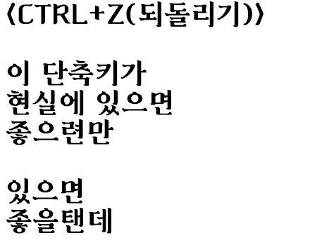  ppt만들다가 쓴 시: CTRL+Z(되돌리기)