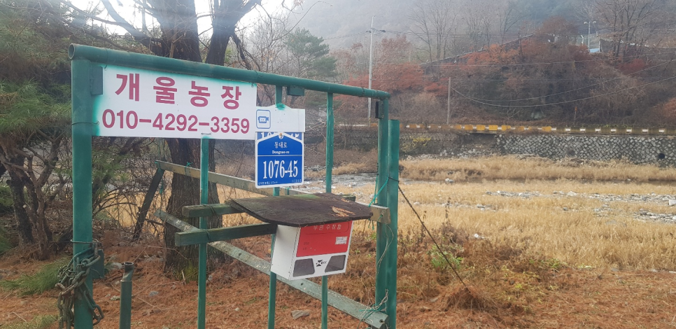 개울농장상회 사진 2