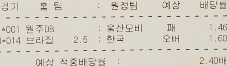 프로토 2022 카타르 월드컵 16강 적중 및 한국대표팀의 마지막 여정