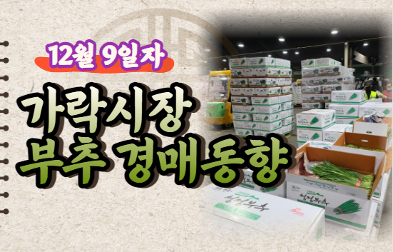 [경매사 일일보고] 12월 9일자 가락시장 "부추" 경매동향을 살펴보겠습니다!