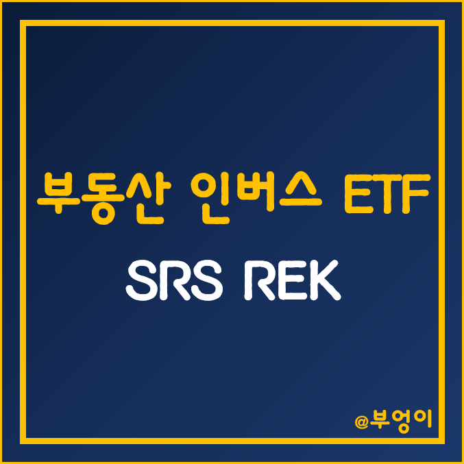 미국 부동산 인버스 ETF - SRS, REK 주가 (리츠 인덱스 펀드 투자 및 부동산 하락 관련주) 미국 부동산 인버스 ETF - SRS, REK 주가 (리츠 인덱스 펀드 투자 및 부동산 하락 관련주)