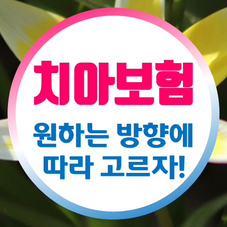  온라인치아보험, 원하는 방향에 따라 다르게 골라야 한다.