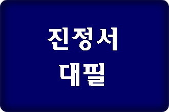 진정서 대필 대행은 어떻게? 진정서 대필 대행은 어떻게?