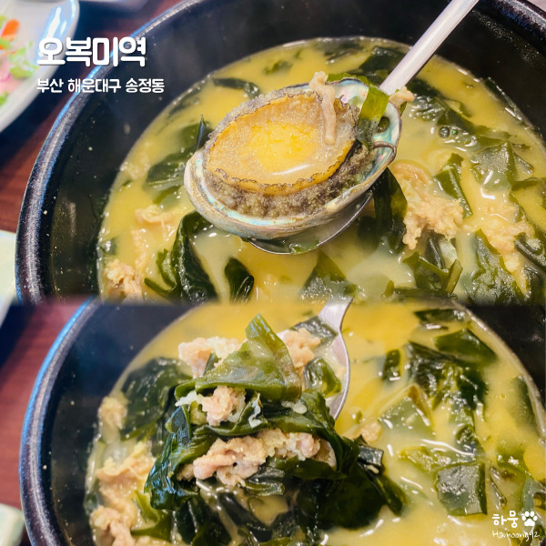  부산 해운대 송정해수욕장 기장맛집 오복미역