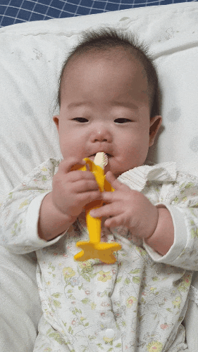  5개월 아기 발달 사항 먹놀잠 범보의자 옹알이 치발기 수면패턴