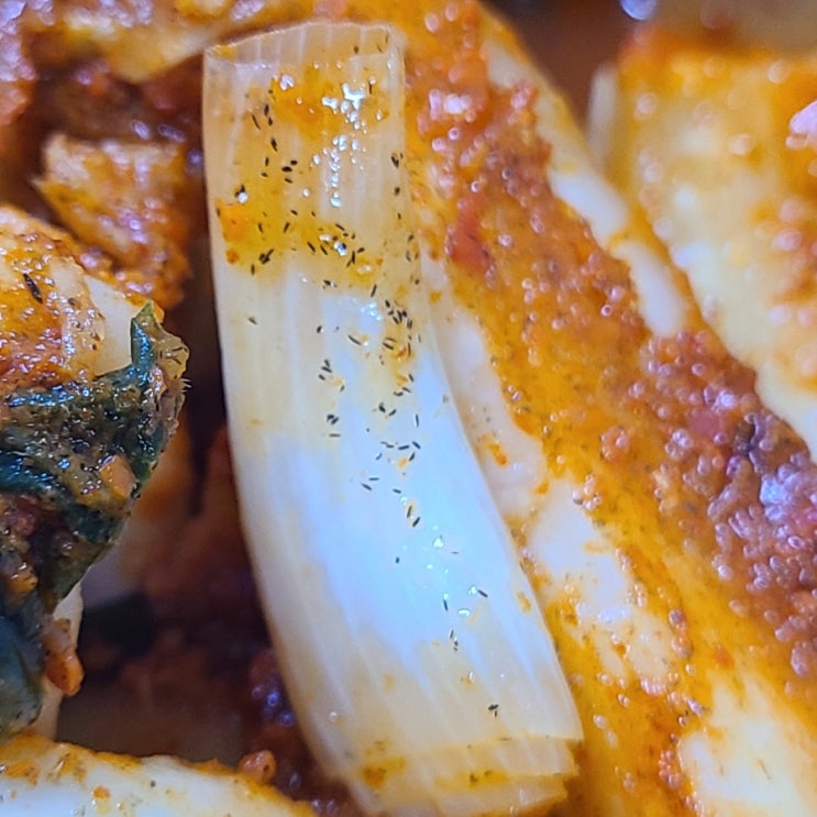  김치에 철가루같은 검은가루의 정체는?