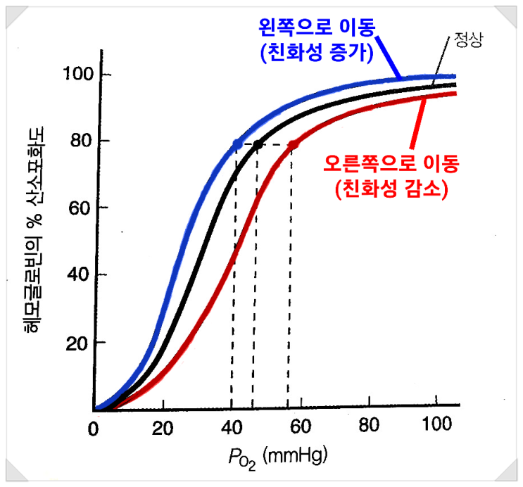  헤모글로빈(혈색소, Hemoglobin, Hb) - 산소해리곡선 : 산소포화도, 산소해리도, 산소분압(PO2)