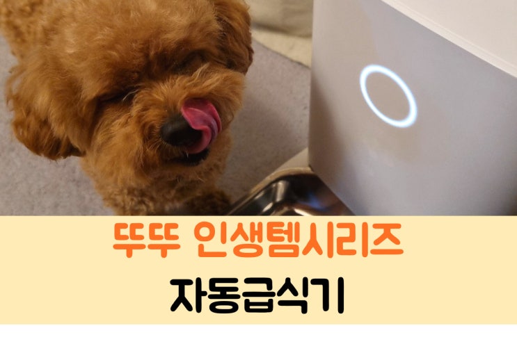  자동급식기 밀리 장단점