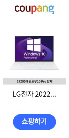  17Z95N-GP50ML LG전자 2022 그램17 인텔i5 가벼운 기업용 노트북 윈도우10Pro 8GB  256GB 코어i5 화이트 드디여 이가격으로 판매