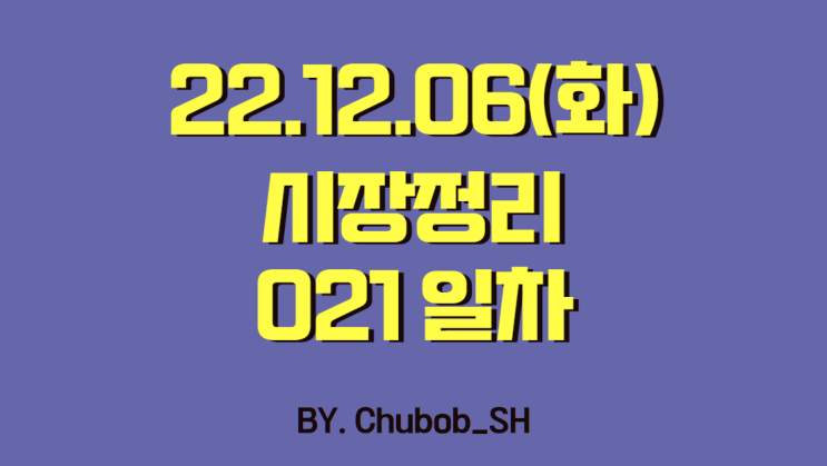  22.12.06(화) 시장정리 021일차