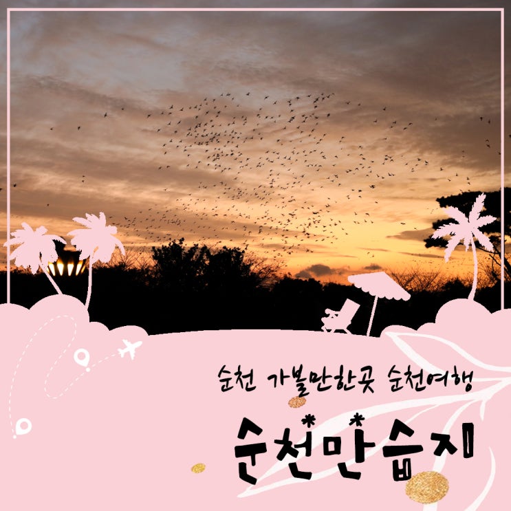  전남 순천 가볼만한곳 순천만습지 입장료 갈대보러 순천여행