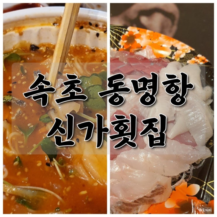 동명항 속초 물회 회포장 맛집 신가횟집, 애견동반 가능