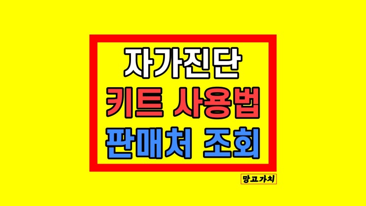 코로나 자가진단 키트 하는법 및 판매처