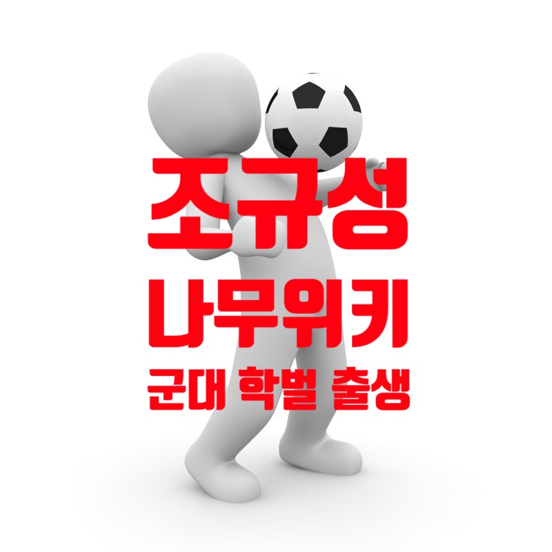 조규성 나무위키 군대 대학 출생 모든 것
