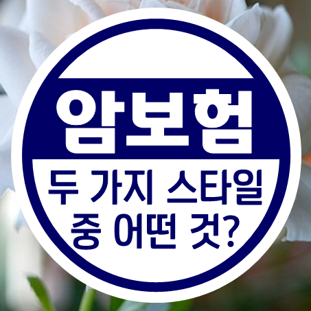  노인암보험, 서로 다른 두 가지 스타일 중 여러분의 선택은?