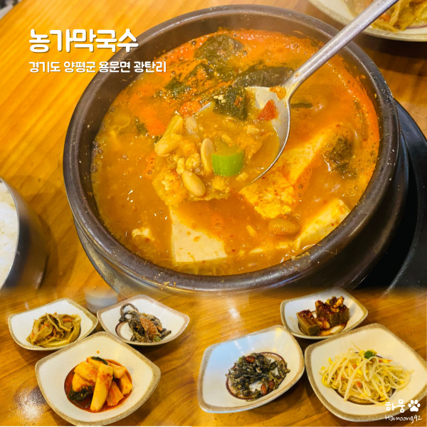 양평 용문면 청국장 찌개 한식맛집 농가막국수