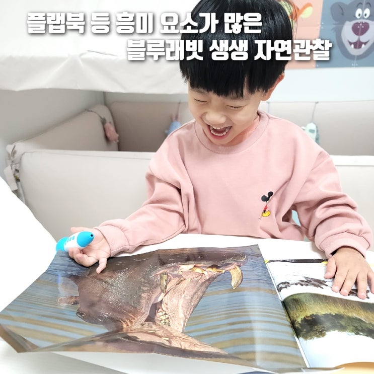  블루래빗 생생자연관찰, 실감나는 사진들로 동물들과 만나기