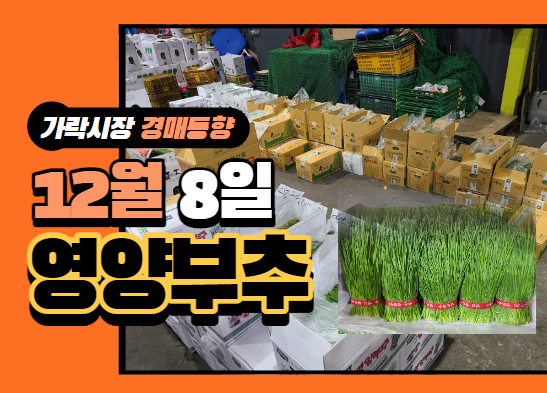 [경매사 일일보고] 12월 8일자 가락시장 "영양부추" 경매동향을 살펴보겠습니다!