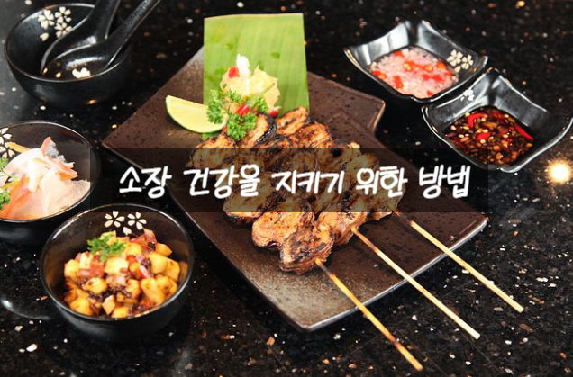  소장 건강을 지키기 위한 방법