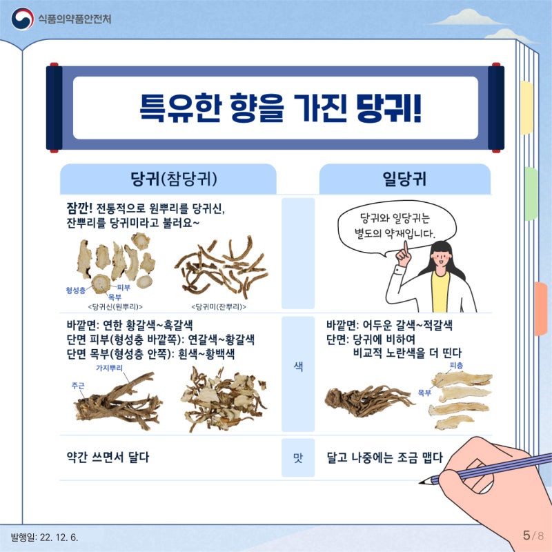 한약재 사삼, 당귀, 갈근 감별법! : 네이버 블로그