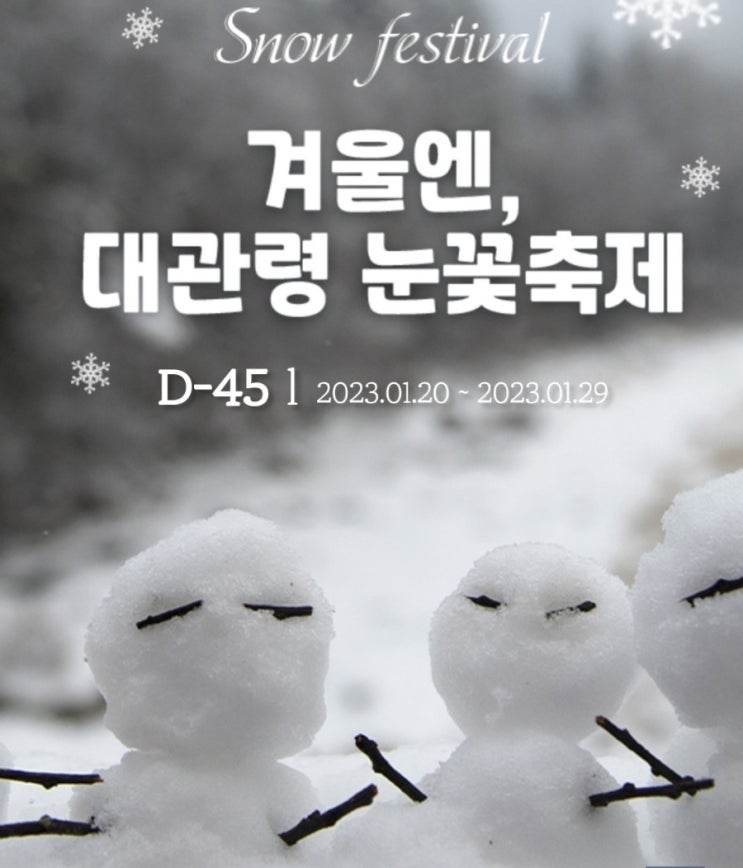 대관령 눈꽃축제 기본정보 눈썰매장 개장일