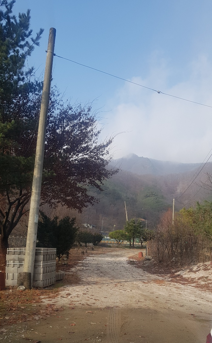 개울농장상회 사진 3