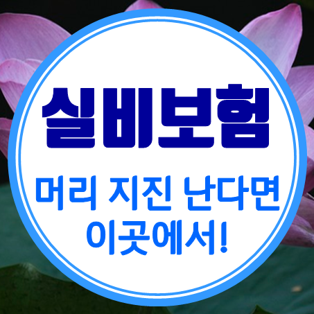  아기 실비보험 선택, 머리에 지진 날 것 같다고? 그럼 여기!