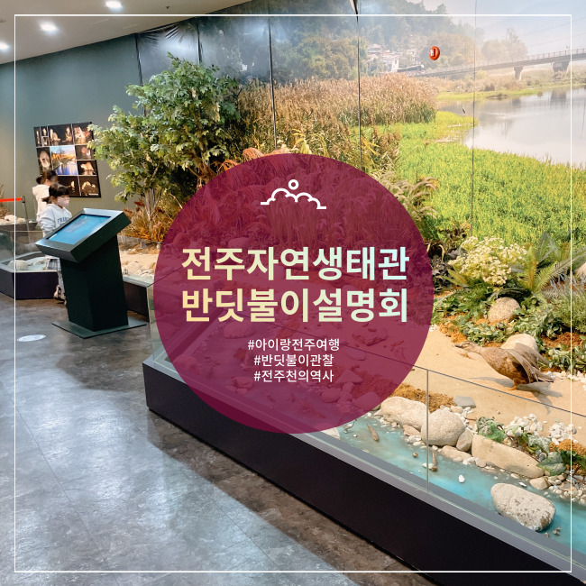  [전주] 반딧불이를 직접 보며 생태설명을 들을 수 있는  전주자연생태관