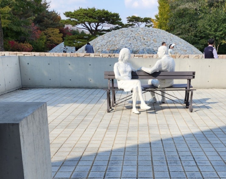  청주장거리택시 충북혁신도시 운행