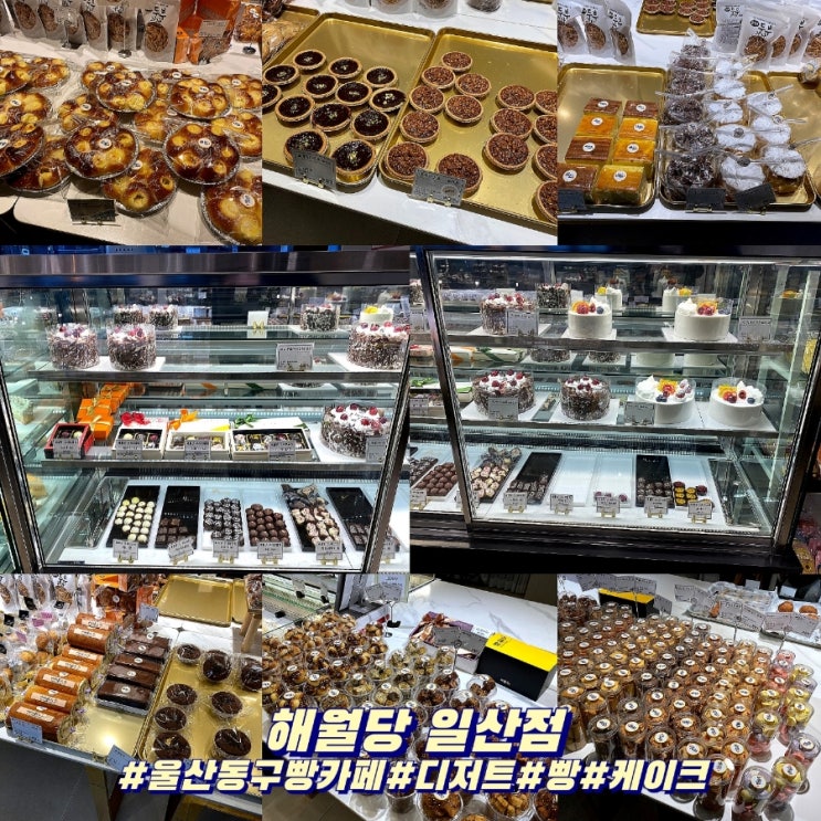  울산 동구 핫플! 대형 빵 카페 해월당 일산점!