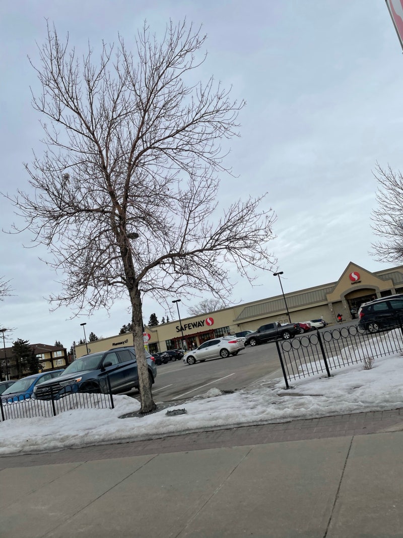 캐나다 환율 많이 낮아진 현황 : 네이버 블로그