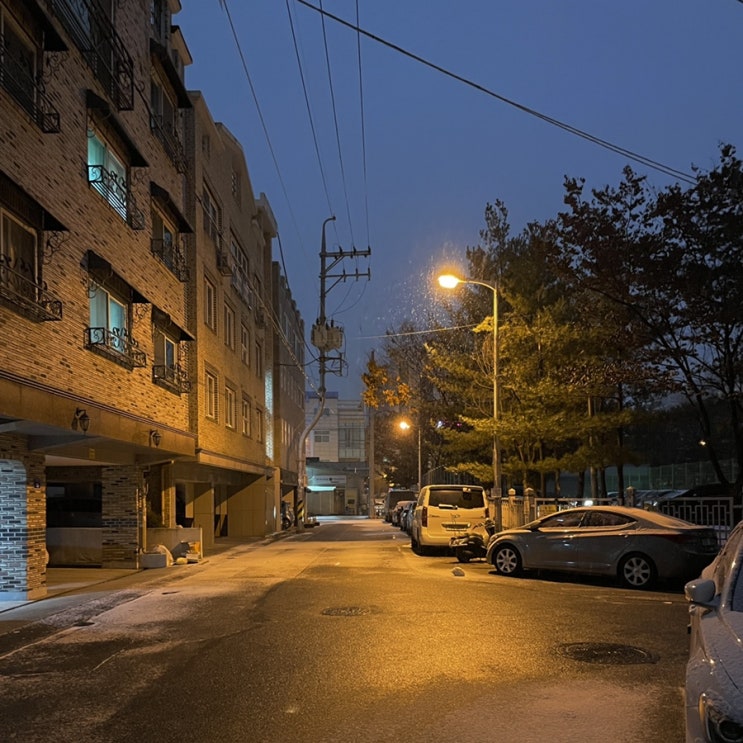  221206 / 첫 눈