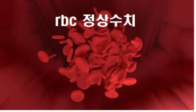  rbc 정상수치 적혈구 수치 높으면 낮으면