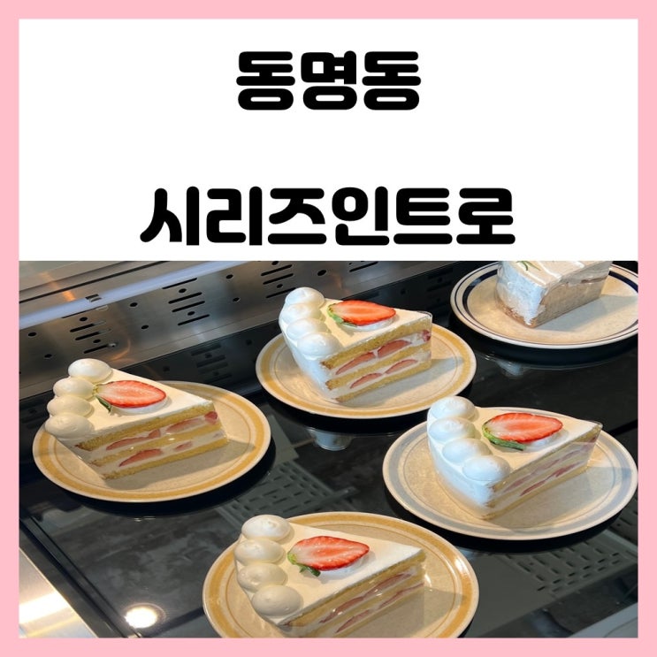 광주 수제 케이크 맛집 동명동 시리즈인트로