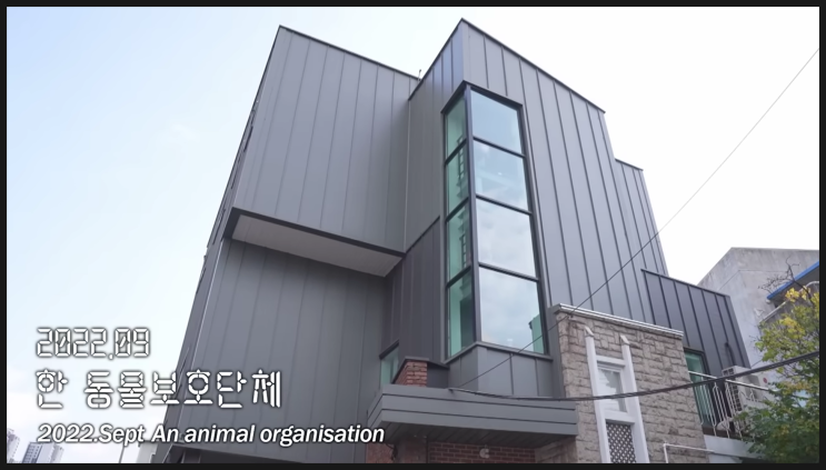  [SBS TV동물농장 1096회]야생동물카페 강아지에게 돌망치를 휘두른 사장(분노주의)