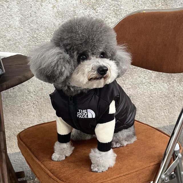 피플연구소 강아지 패딩 '더도그페이스' 리뷰